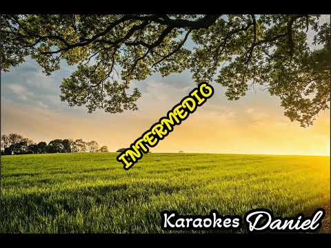 Te sigo amando-karaoke-versión Natalia Jimenez