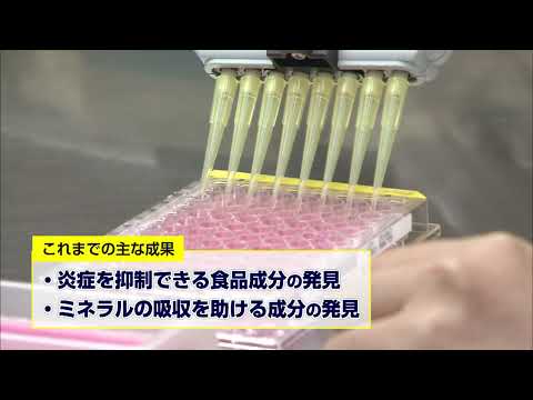 ～食品機能分野の紹介～　福井県立大学　高橋正和　准教授