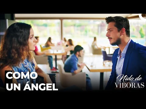 Ejder Habla Del Malentendido - Nido De Víboras Capitulo 23 (Dobladas en Español)