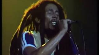 Bob Marley sings Arthur Theme song (LIVE) parody