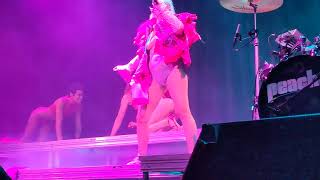 Peaches covering Berlin&#39;s &quot;Sex (I&#39;m a ...)&quot; live in Denver