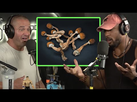 RESPECT the SUBSTANCES You Use