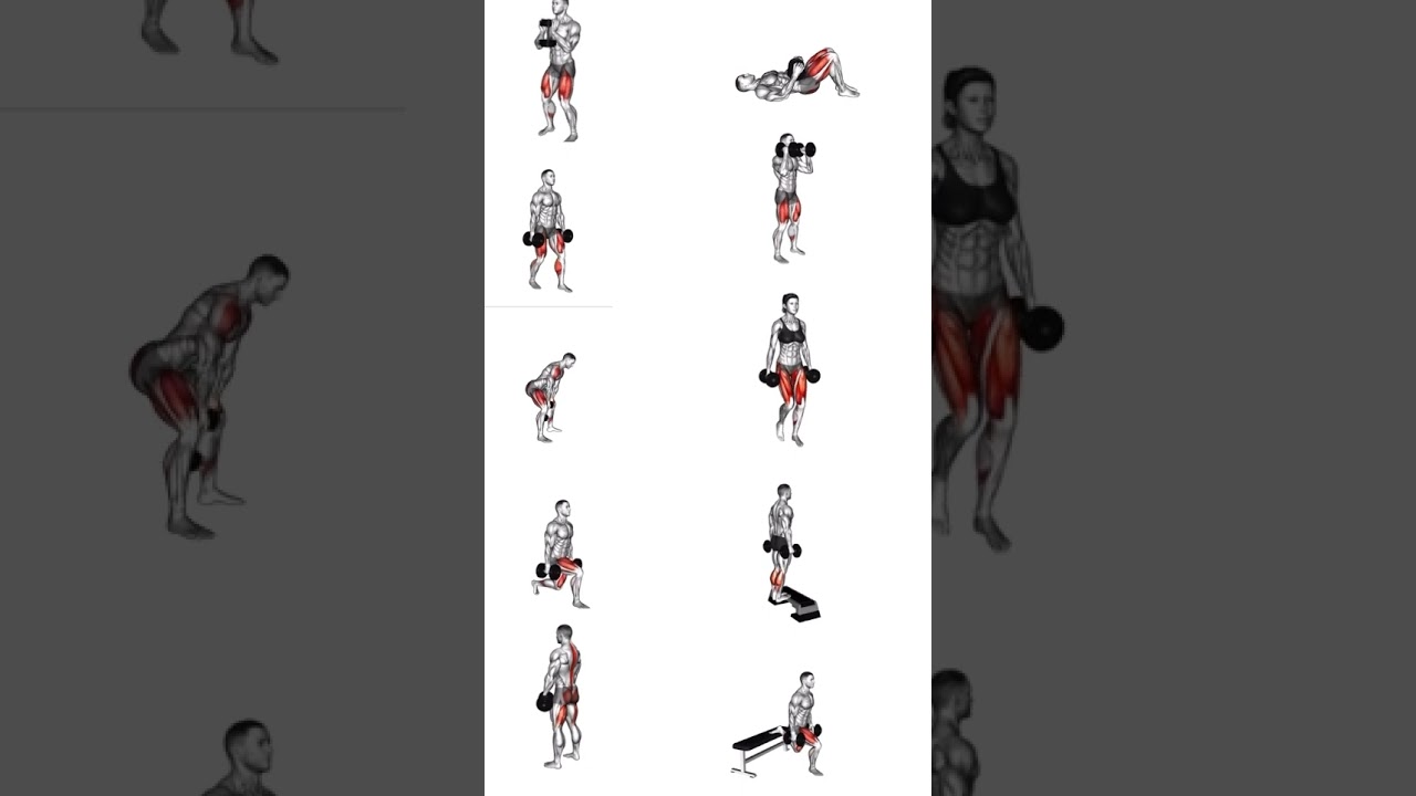 Know the Difference: Best Leg Workouts for Strength, Size, and Definition!