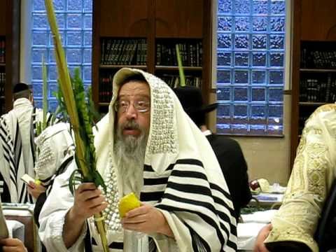 Hoshana Raba With Zimigrod'er Rebbe Part 1