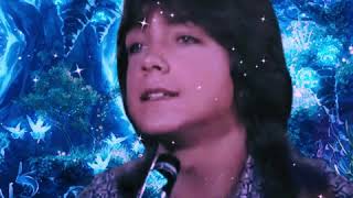 Echo Valley- 26809. David Cassidy and The Partridge Family