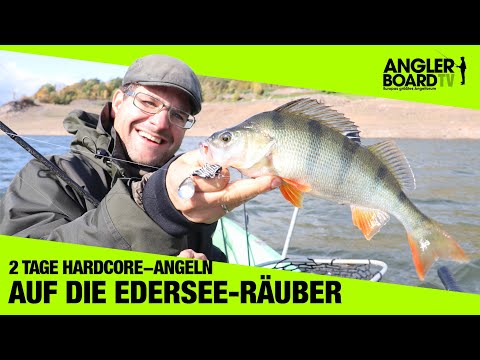 Angeln am Edersee I Edersee Barsch | Anglerboard TV