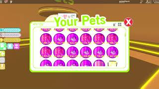 Pet Simulator Giant Cat Code
