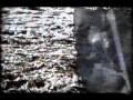 Island - New Model Army