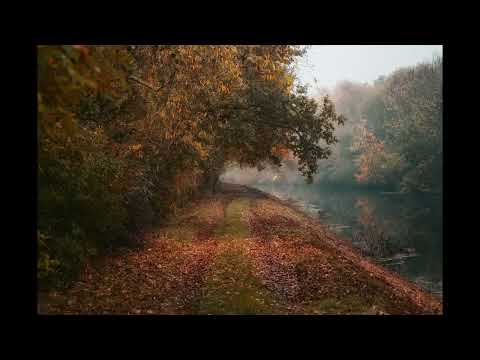 JOANNA CHMIELEWSKA 🔴 KLIN SŁUCHOWISKO🔴🔴🔴