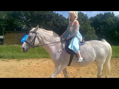 Let it Go Equestrian Style Elsa riding her horse! (Early Practice days Dressage) Melita Morgan