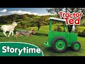 NEW Storytime - Little Lost Lamb