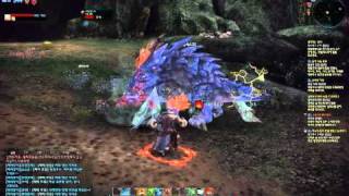 22 아만 법사 바실 솔플