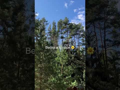 Весна в R-парк