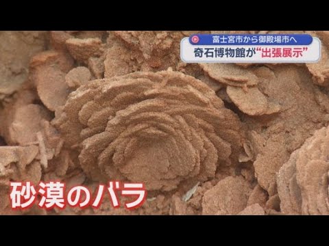 YouTube Video 奇石博物館の選りすぐりの不思議な石を集めた展示会　静岡・御殿場市「富士山樹空の森」