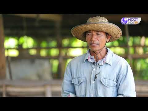 รักษ์ผืนดินถิ่นส.ป.ก. ปี๒/ตอนที่๑๘.เรื่องส.ป.ก. พัฒนาเครื่องสับย่อยอาหารสัตว์ ลดต้นทุนให้เกษตรกรในเขตปฏิรูปที่ดิน