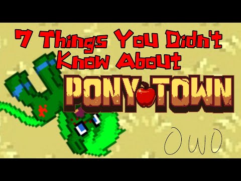 7 Things You Might Not Have Known About Pony Town