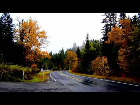 Yamin feat Marcie - Forward Motion (Mike Shivers Catching Sun Mix)