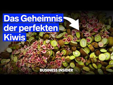 Neuseelands Milliarden-Geschäft mit Kiwis | Business Insider