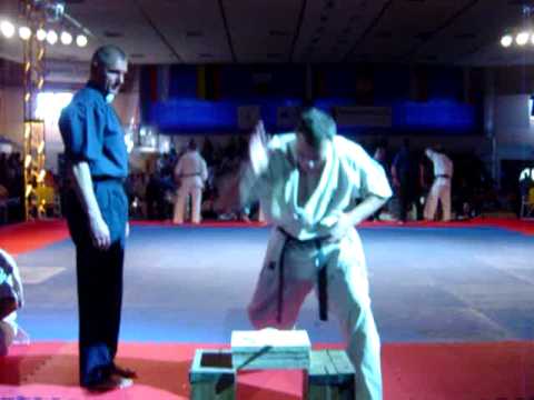 Darius Gudauskas tamashevari 2