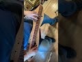 Grey Cat On A Tennessee Farm Mountain Dulcimer Music