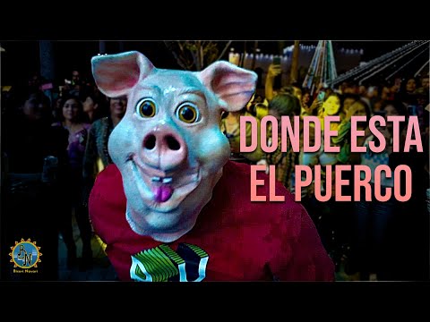 Donde Esta El Puerco 🐷