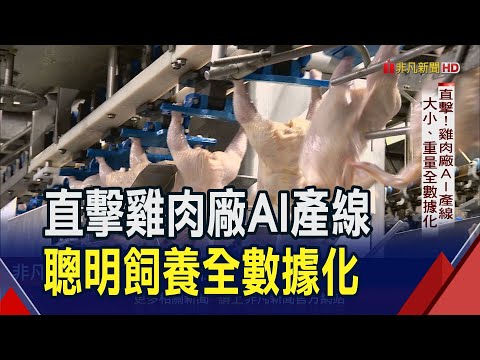 【非凡電視】養雞也AI！直擊本土大廠智慧產線.產量增50% 雞腿排銷量疊出1200座101