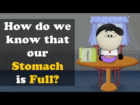 お腹がいっぱいだとわかる方法とは？| お腹がいっぱいだということをどうやって知るのか？ (How do we know that our Stomach is Full? | #aumsum)