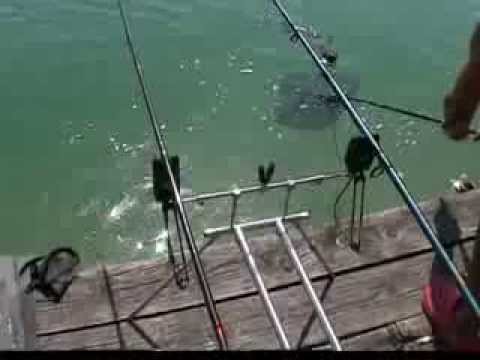 2013 08 08 ANGELA DRILL 1A