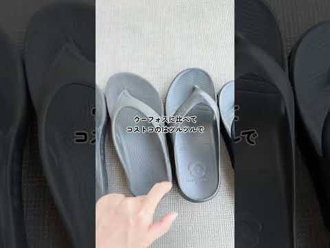 園芸 Calceolar calynospsis、小さなスリッパ