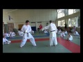 Karate In Russia Sochi The 10 17 06 2012 Kumite Mawashi Geri Mpg