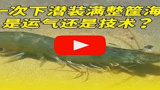 一次下潜装满整筐海鲜，是运气还是技术？