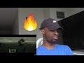 NF - The Search Reaction NF - The Search Reaction