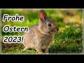 Frohe Ostern 2023