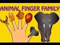 Animal Finger Family - Nursery Rhymes For Children