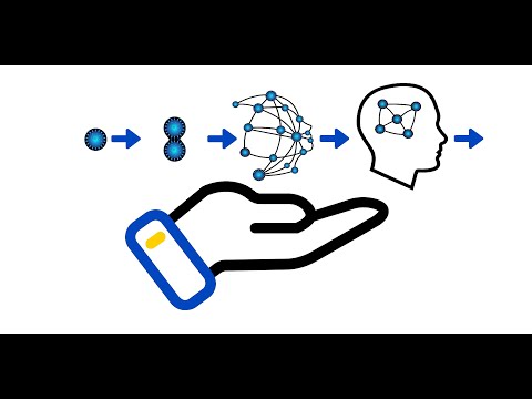 How to create an effective agile leadership structure within your organization.