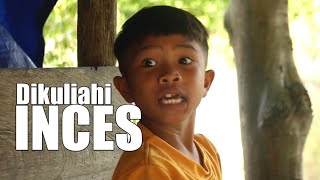 Download lagu berawal dari Kena tilang mp3