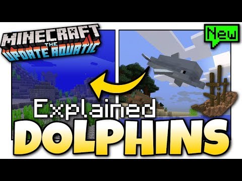 Minecraft – DOLPHIN + TREASURE GUIDE [ Tutorial ] Update 