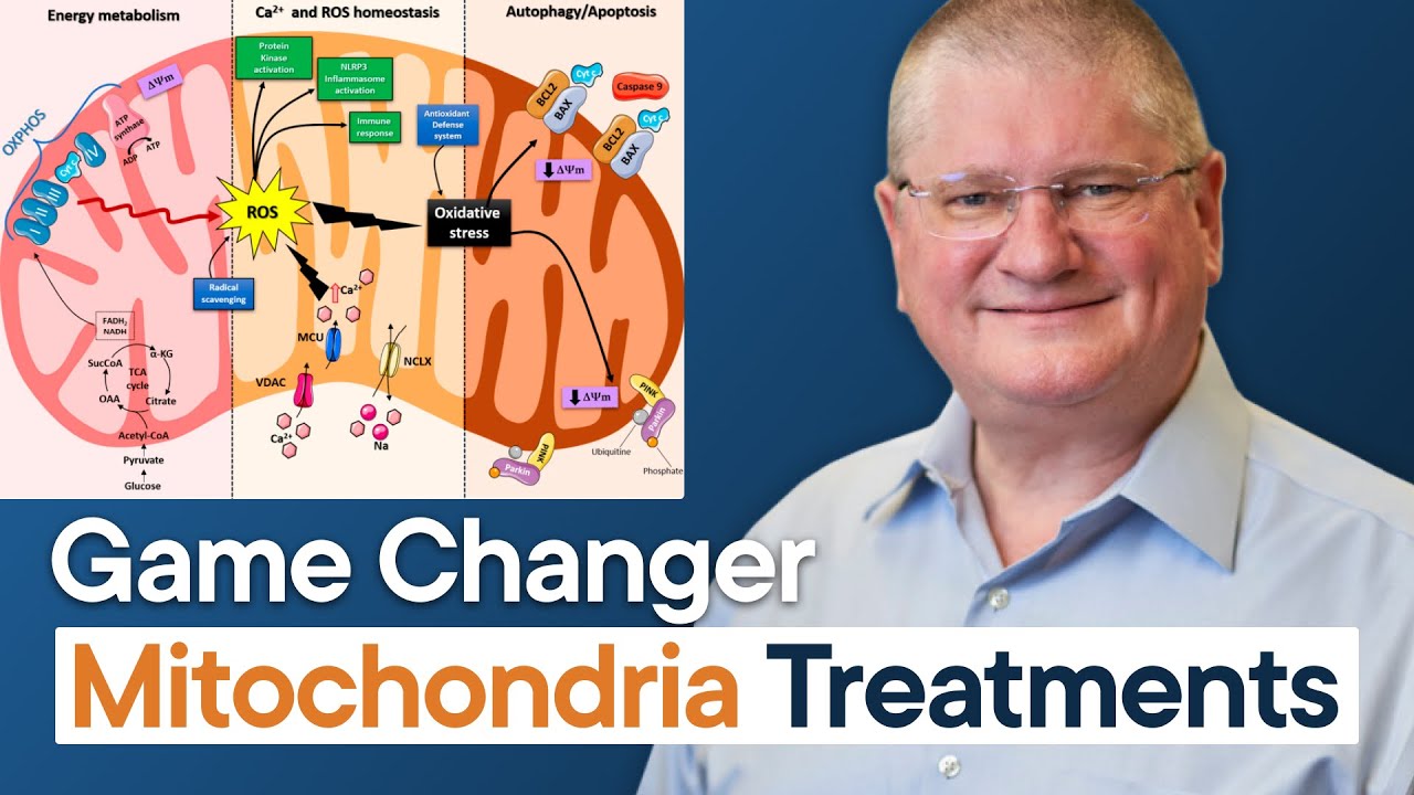 How to Reset Mitochondria (Most Effective Protocol)