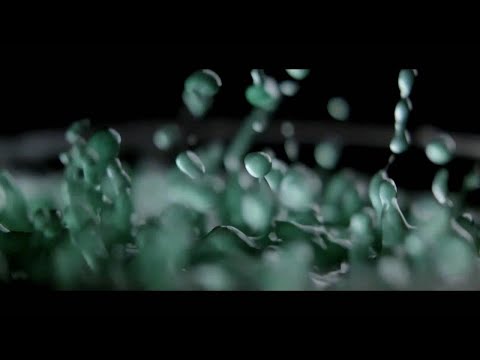 fabric 56: Derrick Carter