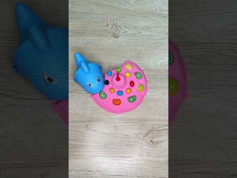 The most delicious Cake for a Shark #shorts #funny #tiktok