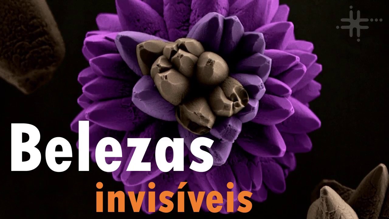 Fique sabendo: Belezas invisíveis