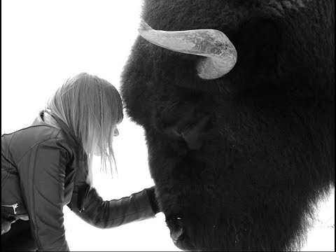 BLACK MIRRORS - Günther Kimmich (Official Video) | Napalm Records