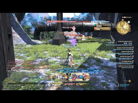 「Final Fantasy XIV」 Story #25 ~ "Escape From Castrum Centri"