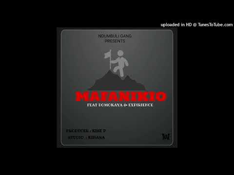 MAFANIKIO-NDUMBULI GANG FT DOMOKAYA&XP