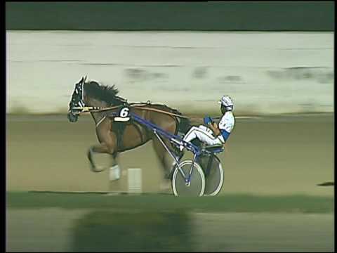 Trotto 30/07/2016 - 8° corsa