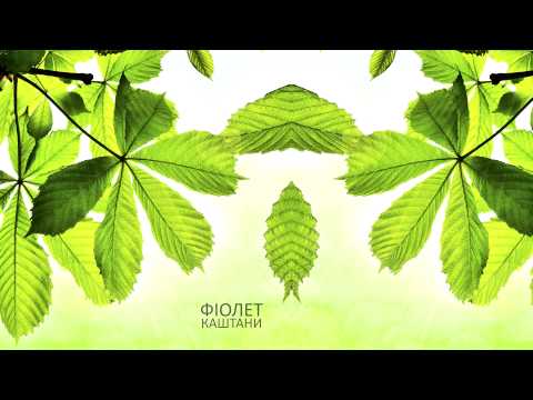 ФІОЛЕТ – Каштани (single 2015)