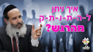 הרב יצחק פנגר | איך ניתן להתנתק מהרגש? | שידור חי (ארגון ענפים) - התמונה מוצגת ישירות מתוך אתר האינטרנט יוטיוב. זכויות היוצרים בתמונה שייכות ליוצרה. קישור קרדיט למקור התוכן נמצא בתוך דף הסרטון