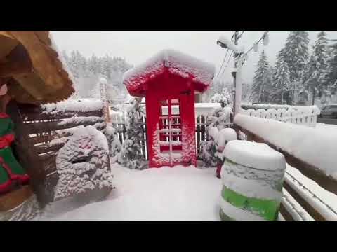 Satul spiridusilor | Predeal - Timisul de Sus - Jud. Brasov