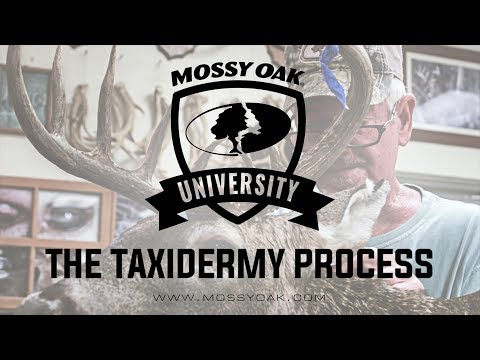 Ben Mears featured with Mossy Oak — Part 2