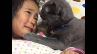 Cat Trying To Comfort A Crying Girl Is The Sweetest Thing On The Internet